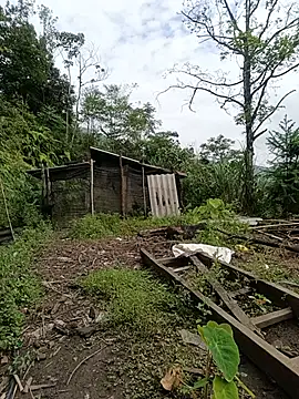 baby_112233 webcam