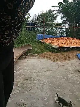 tuyet-nhi webcam