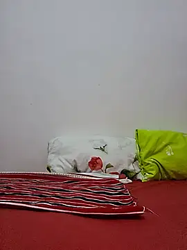 altinya webcam