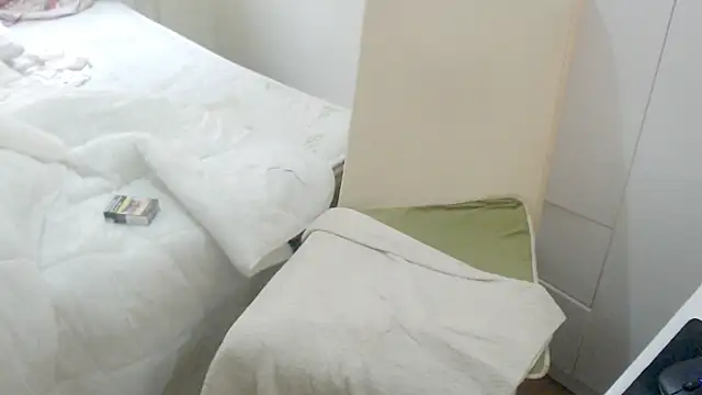 LiONTURK webcam