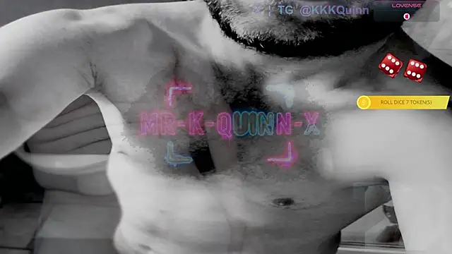 mr-k-quinn-x webcam
