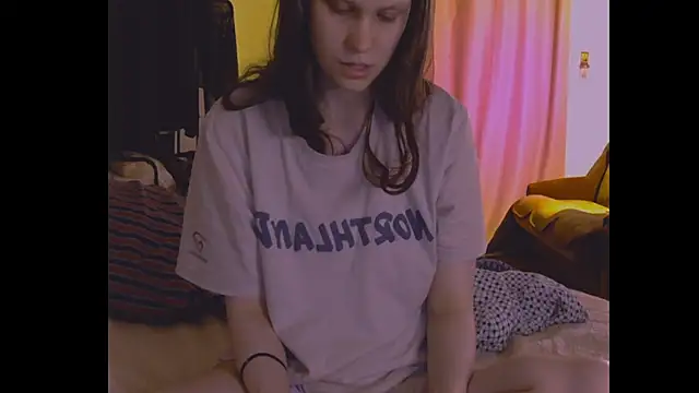 Lunliss webcam