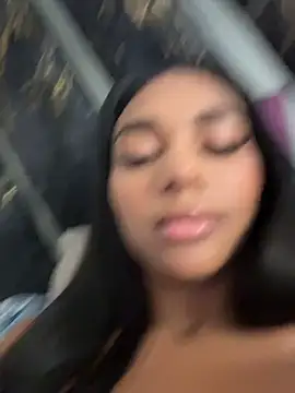Savannahfisher webcam
