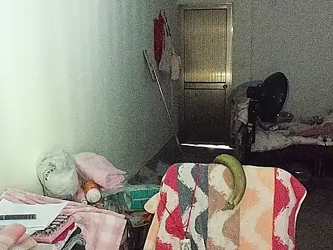 RebelAura webcam
