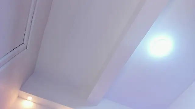 ShuriLux webcam