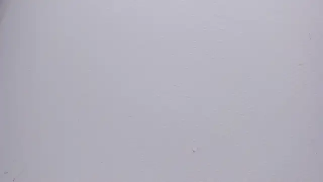 Luna_black19 webcam