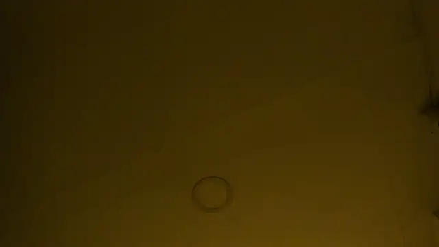 Madisson_Thompson_ webcam