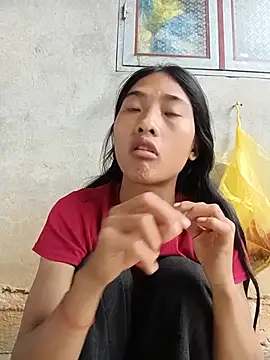 Hoa-tuylip