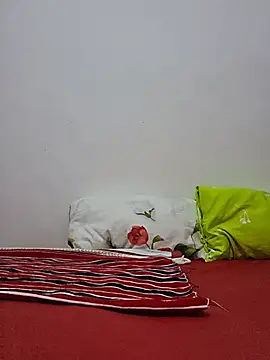 altinya webcam