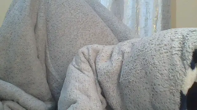 ndivhuwomuleya webcam