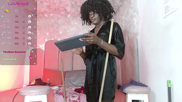 puca_ebony webcam