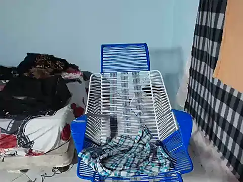 barbara_anal_squirt_ webcam