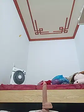 July-Asian webcam