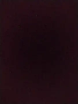 RAFAELQUINTEROSCAVALHEI webcam