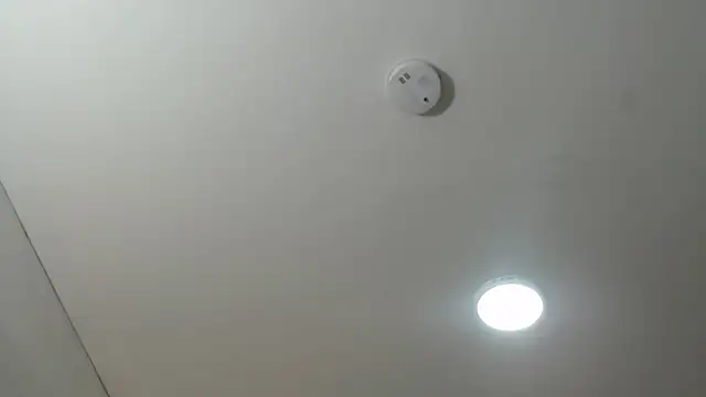 ViviJones webcam