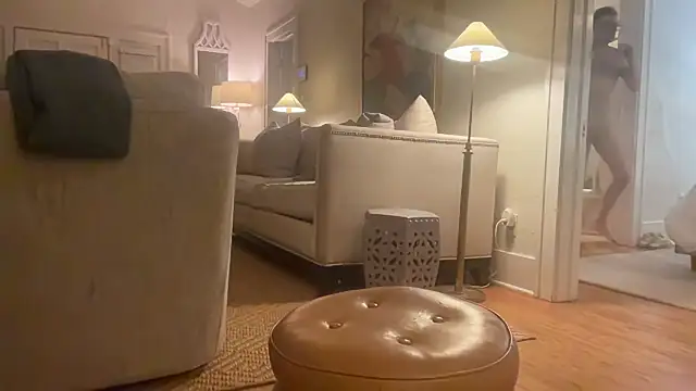 prankcaller webcam