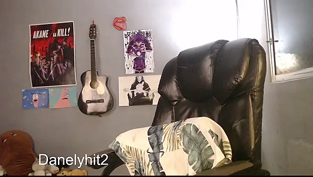 Danelyhit webcam
