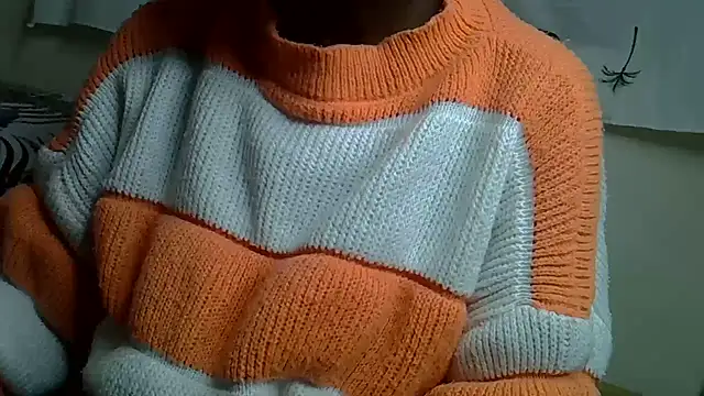 Enkarxx webcam