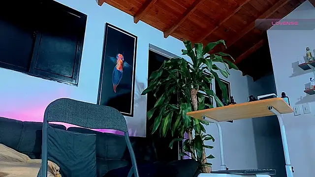 SilvaBranko webcam