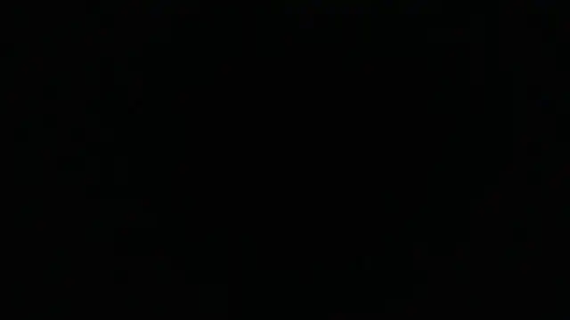 _Pamela_doll webcam
