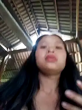 Liss-mimi webcam