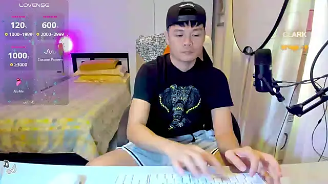 clarkdangerous webcam