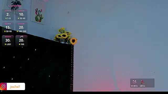 Levii_Ackermann webcam