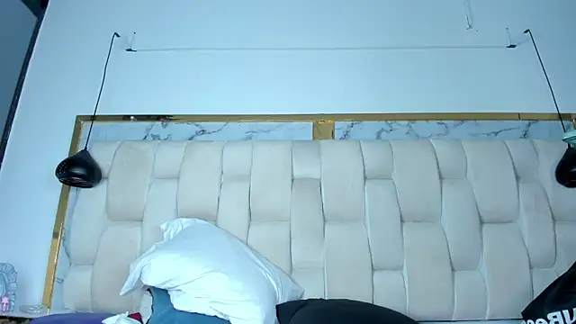 Hanna_lens webcam