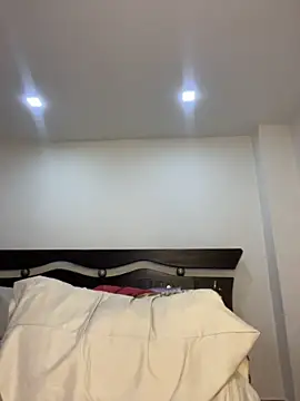 MaxDell webcam