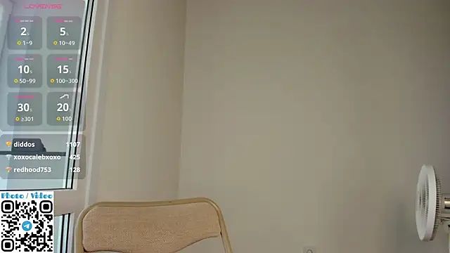 Helen__spark__ webcam