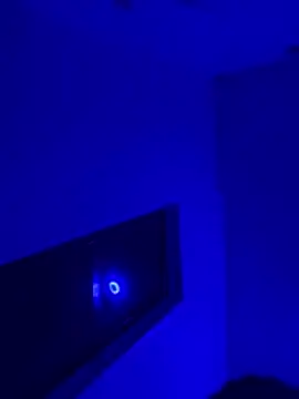 Sweet_Orange webcam