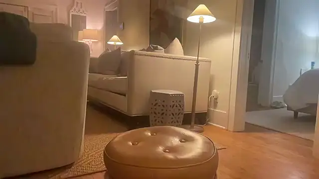 prankcaller webcam