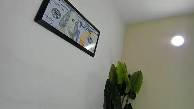 threedirtyhard webcam