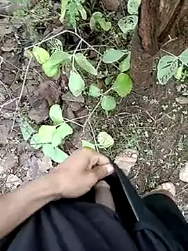 Forest_lover24 webcam