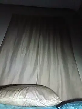 TheRiseOfDick webcam