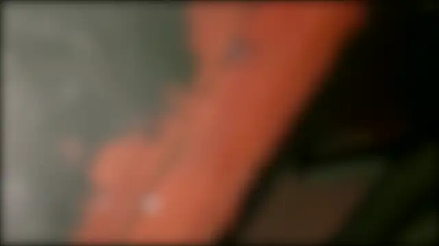camille_delrey webcam