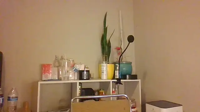 1n0nlythroat webcam