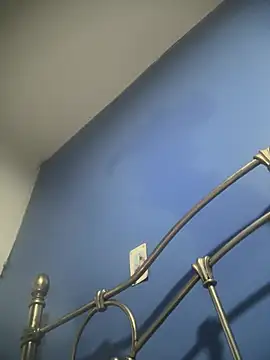 stevo170t webcam