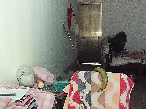 RebelAura webcam