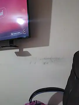 AvaRyd webcam