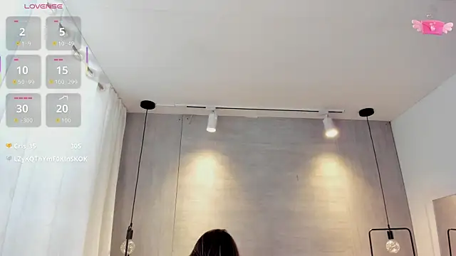 MuseumOFvanne webcam