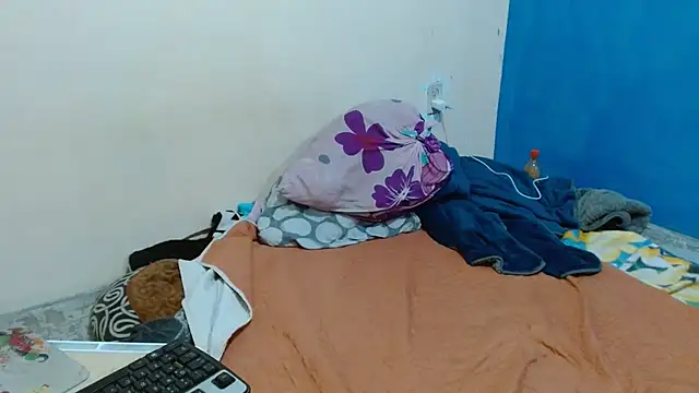 MeisanPaul webcam