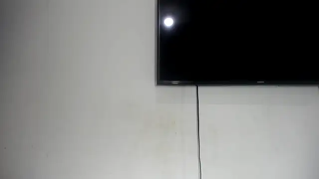 Fox_Loves webcam