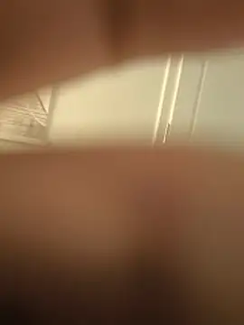 bi_48 webcam