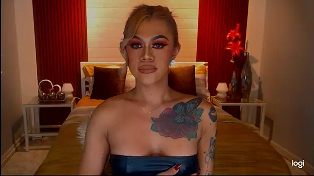 StellaStrong30 webcam