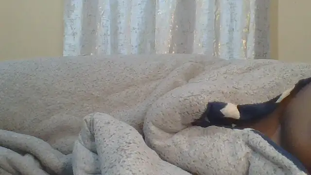 ndivhuwomuleya webcam