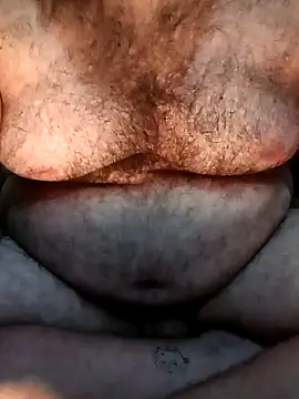 big__bearrr webcam