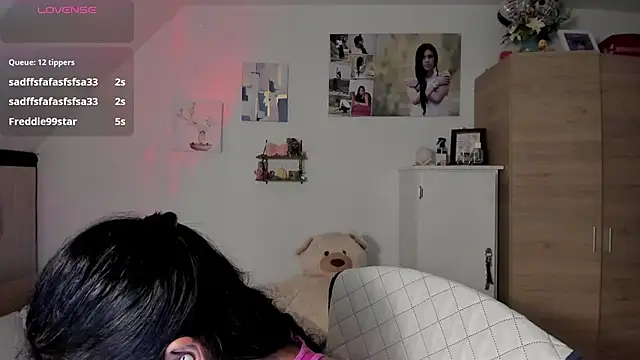 Veronikolsen- webcam