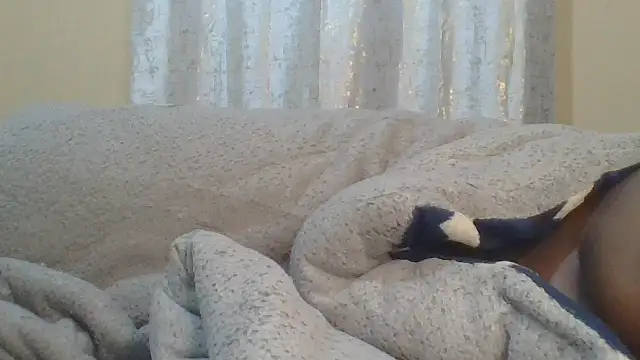 ndivhuwomuleya webcam