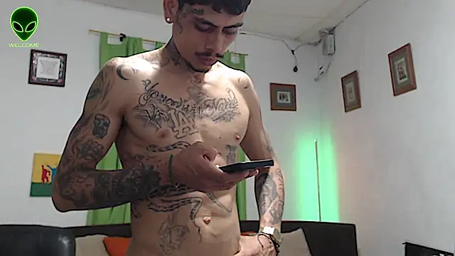 alpha_zom webcam